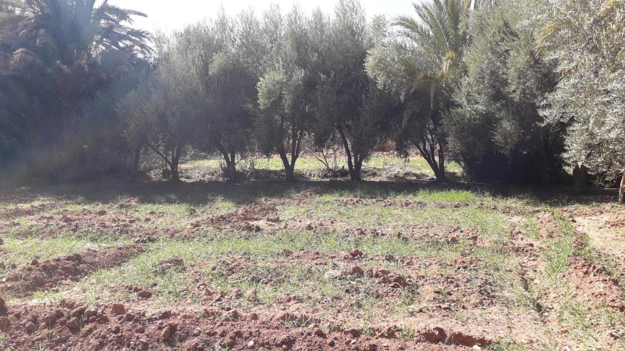 Riad Sarayas Tajda Екстериор снимка