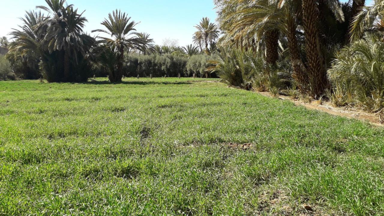 Riad Sarayas Tajda Екстериор снимка